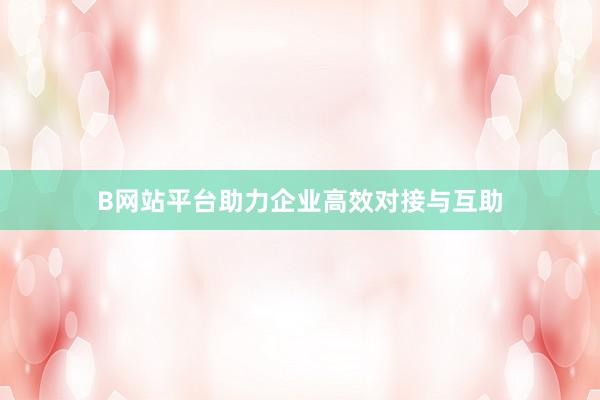 B网站平台助力企业高效对接与互助
